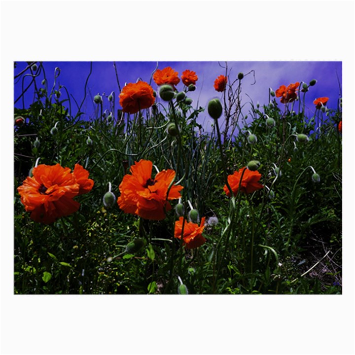 Poppy Field Large Glasses Cloth (2 Sides)