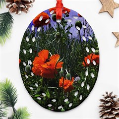 Poppy Field Ornament (oval Filigree)