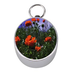 Poppy Field Mini Silver Compasses by okhismakingart