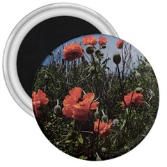 Faded Poppy Field  3  Magnets by okhismakingart