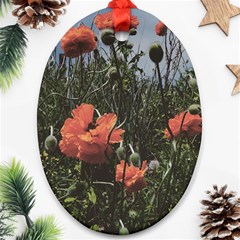 Faded Poppy Field  Ornament (oval) by okhismakingart