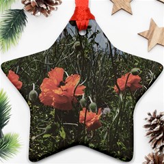 Faded Poppy Field  Ornament (star) by okhismakingart