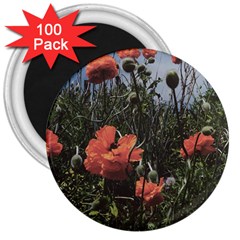 Faded Poppy Field  3  Magnets (100 Pack) by okhismakingart