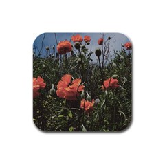 Faded Poppy Field  Rubber Square Coaster (4 Pack)  by okhismakingart