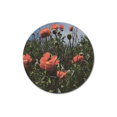 Faded Poppy Field  Magnet 3  (round) by okhismakingart