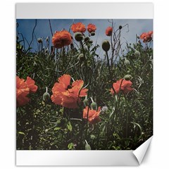 Faded Poppy Field  Canvas 8  X 10  by okhismakingart