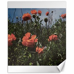 Faded Poppy Field  Canvas 16  X 20  by okhismakingart