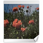 Faded Poppy Field  Canvas 20  x 24  19.57 x23.15  Canvas - 1