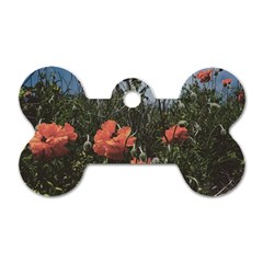 Faded Poppy Field  Dog Tag Bone (one Side) by okhismakingart