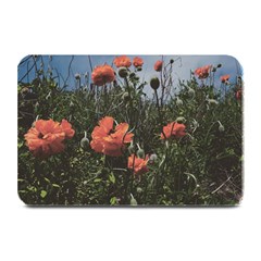 Faded Poppy Field  Plate Mats by okhismakingart