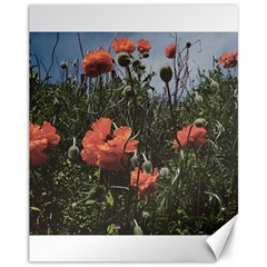 Faded Poppy Field  Canvas 11  X 14  by okhismakingart