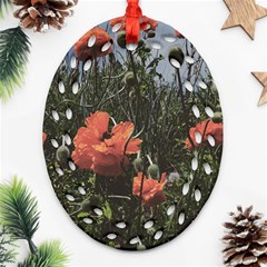 Faded Poppy Field  Ornament (oval Filigree) by okhismakingart