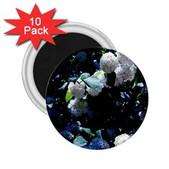 Blue Snowballs Ii 2 25  Magnets (10 Pack)  by okhismakingart