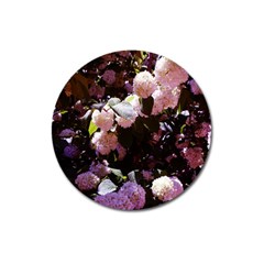 Purple Snowballs Magnet 3  (round) by okhismakingart