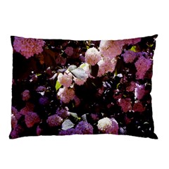 Purple Snowballs Pillow Case (two Sides) by okhismakingart