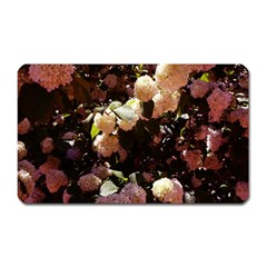 Pink Snowballs Ii Magnet (rectangular) by okhismakingart