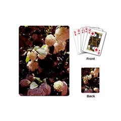 Pink Snowballs Ii Playing Cards Single Design (mini) by okhismakingart