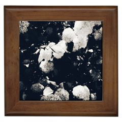 High Contrast Black And White Snowballs Ii Framed Tiles by okhismakingart