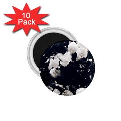 High Contrast Black And White Snowballs Ii 1 75  Magnets (10 Pack)  by okhismakingart