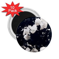 High Contrast Black And White Snowballs Ii 2 25  Magnets (10 Pack)  by okhismakingart