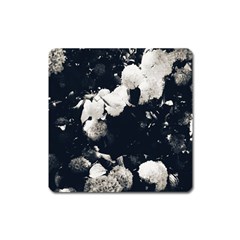 High Contrast Black And White Snowballs Ii Square Magnet by okhismakingart