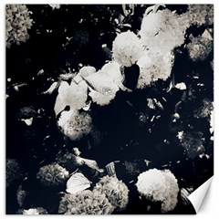 High Contrast Black And White Snowballs Ii Canvas 12  X 12  by okhismakingart