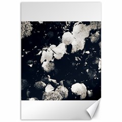 High Contrast Black And White Snowballs Ii Canvas 12  X 18  by okhismakingart