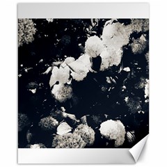 High Contrast Black And White Snowballs Ii Canvas 16  X 20  by okhismakingart