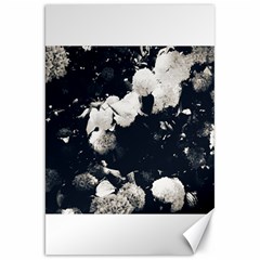 High Contrast Black And White Snowballs Ii Canvas 20  X 30  by okhismakingart