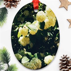 Yellow Snowballs Ii Ornament (oval)