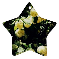 Yellow Snowballs Ii Ornament (star) by okhismakingart