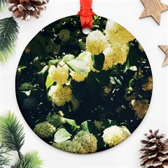 Yellow Snowballs Ii Round Ornament (two Sides)