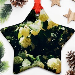 Yellow Snowballs Ii Star Ornament (two Sides)