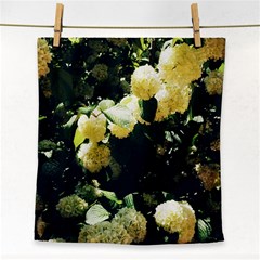 Yellow Snowballs Ii Face Towel by okhismakingart