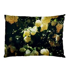 Yellow Snowballs Ii Pillow Case by okhismakingart