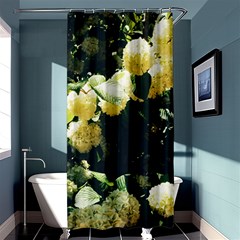 Yellow Snowballs Ii Shower Curtain 36  X 72  (stall)  by okhismakingart