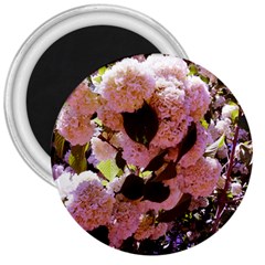 Pink Snowballs 3  Magnets by okhismakingart