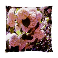 Pink Snowballs Standard Cushion Case (two Sides) by okhismakingart