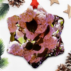 Pink Snowballs Snowflake Ornament (two Sides)