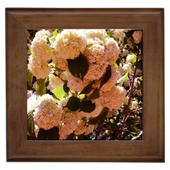 Yellow-pink Snowballs Framed Tiles by okhismakingart