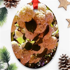 Yellow-pink Snowballs Ornament (oval)