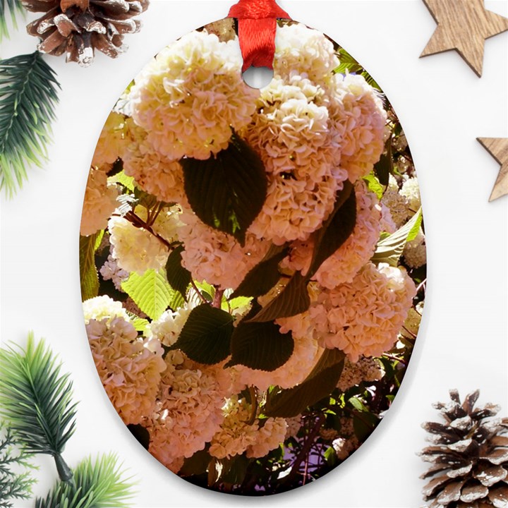 Yellow-Pink Snowballs Oval Ornament (Two Sides)