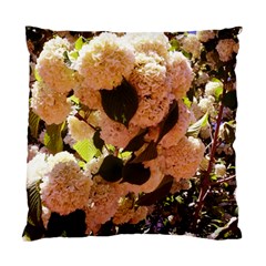 Yellow-pink Snowballs Standard Cushion Case (one Side) by okhismakingart