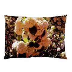 Yellow-pink Snowballs Pillow Case (two Sides) by okhismakingart