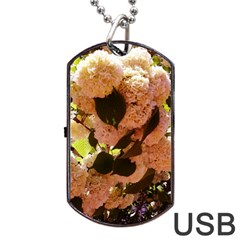 Yellow-pink Snowballs Dog Tag Usb Flash (two Sides) by okhismakingart