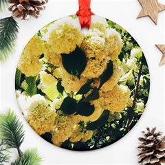 Yellow Snowballs Ornament (round) by okhismakingart