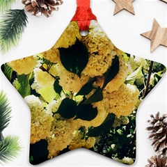 Yellow Snowballs Star Ornament (two Sides)