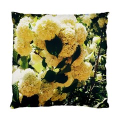 Yellow Snowballs Standard Cushion Case (one Side) by okhismakingart