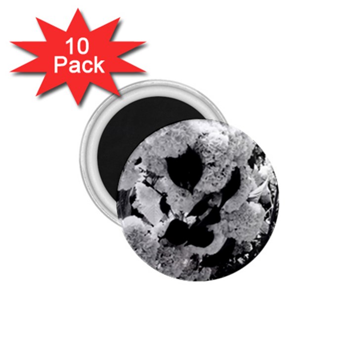 Black and White Snowballs 1.75  Magnets (10 pack) 