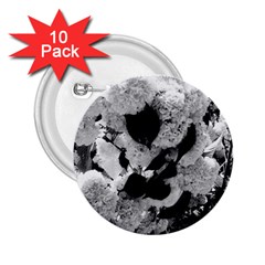 Black And White Snowballs 2 25  Buttons (10 Pack) 